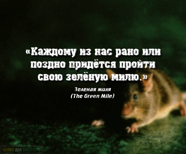 Зеленый цитаты. Зеленая миля цитаты. грустные фразы из фильмов. цитаты из фильма зеленая миля. грустные цитаты из фильмов.