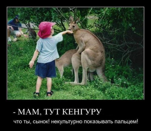 Картинки с интернетов