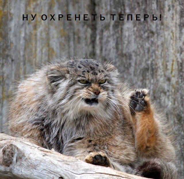 Профессор Сергей Савельев: женщины, почему они другие