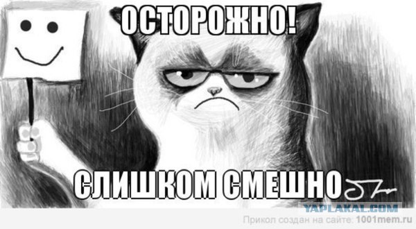Порция абсурдного юмора на следующую неделю