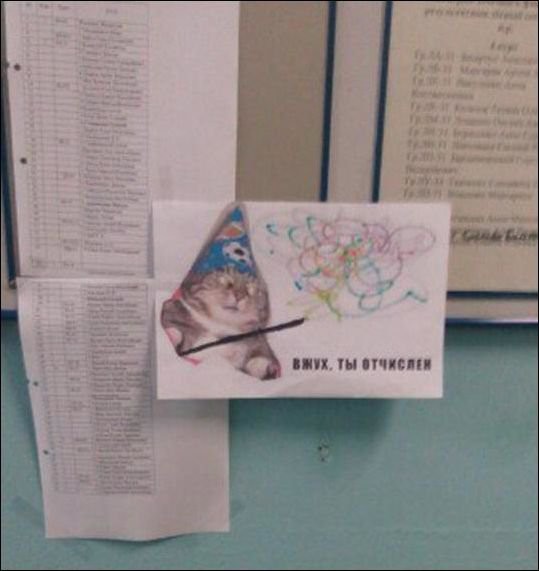 Отупляющие приколы