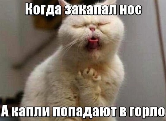Юмор не для всех