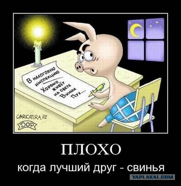 "14 млн человек непонятно чем занимаются": каждый десятый россиянин "забывает" платить налоги