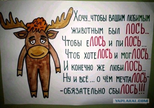 Картинки из интернета