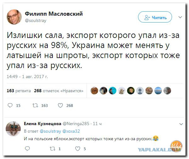 Смешные комментарии из социальных сетей 04.08.2017