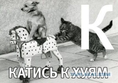 Прилетел из будущего и ищу человека