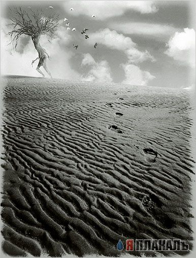 Фентели от Stanislav Jagelo