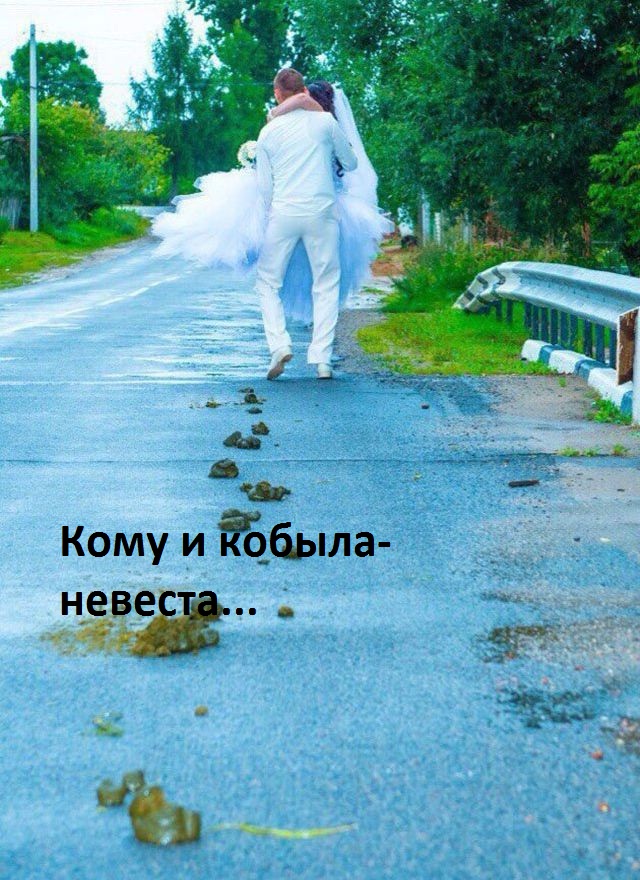 Журнал деградант