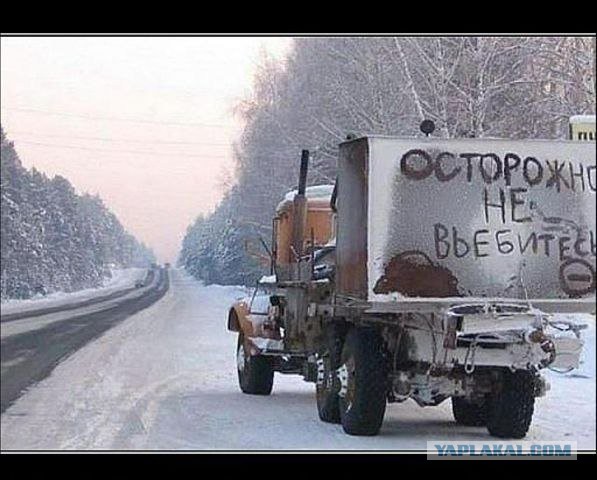 10 забавных фактов из повседневной жизни