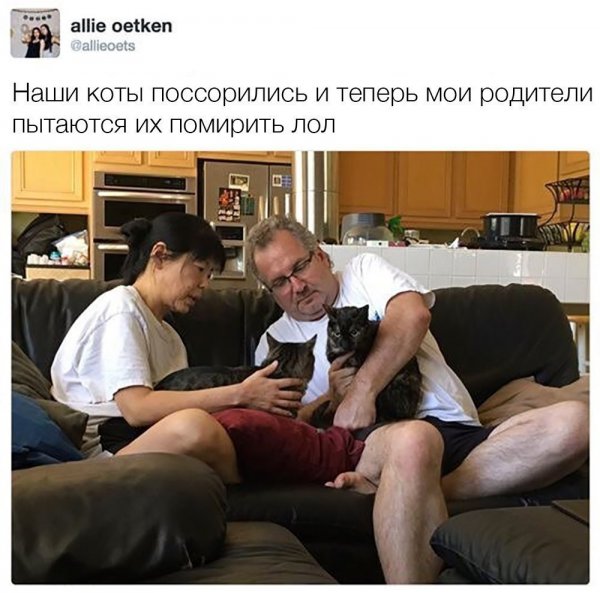 Приколы в стиле "регресс"