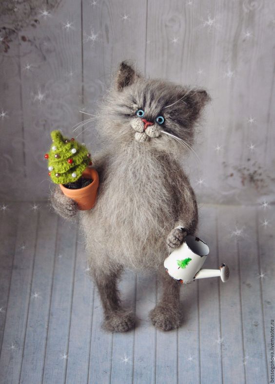 Котовторник!