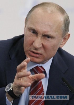 Классификация пользователей ЯПа