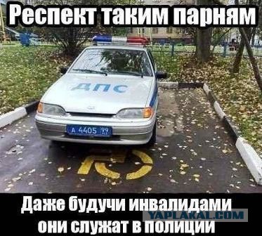 Подборка интересных и веселых картинок