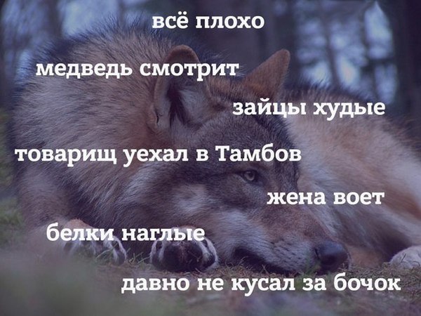 Немного странных картинок