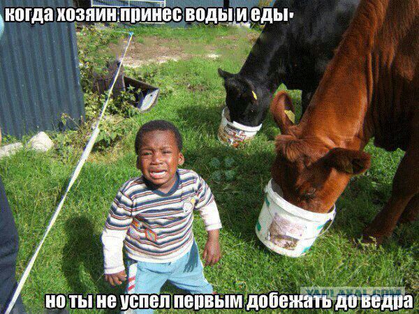 Нестандартный юмор