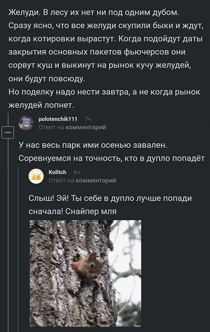 Прикольные комментарии и высказывания из Сети  31. 10 2018.