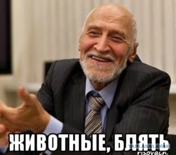 "Угомоните женщину": Новогодний корпоратив в Татарстане закончился массовой дракой