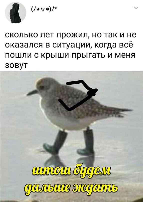 Анекдоты, соц-сети,мемы и картинки с надписями