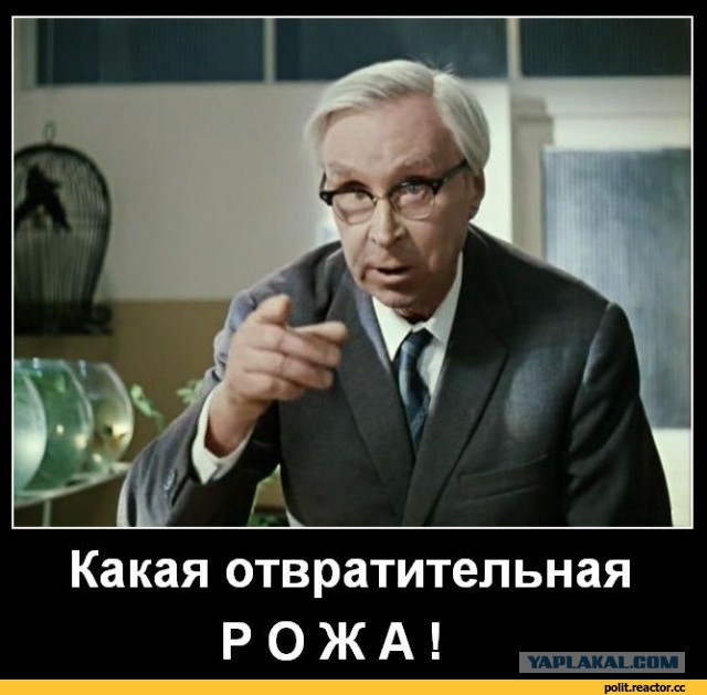 Норм выгляжу? Или не айс