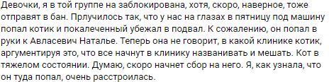 Помогите вернуть кота! Приют "Преданное сердце" украл кота и не отдает!
