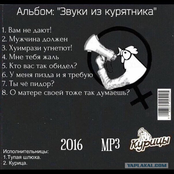 «Будешь старой 40-летней теткой с полупустыми яичниками»: представитель медиков осудила бездетных женщин