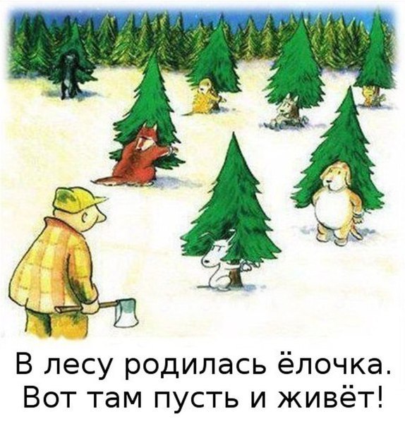 Чуток картинок! 26.12.19