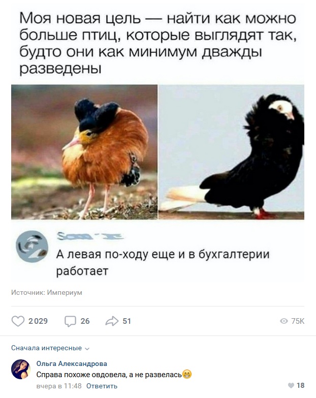 Комментарии к постам в разных группах, которые вызвали улыбку