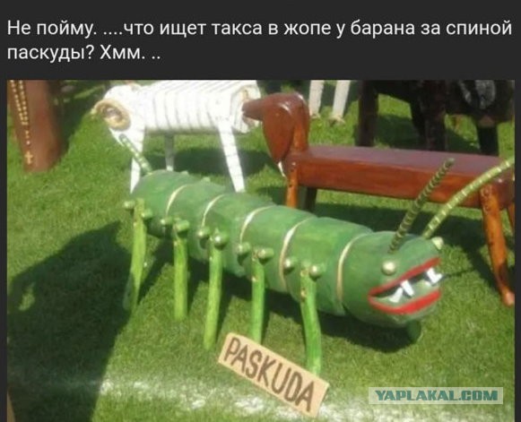 Бредзона 21.02.2020