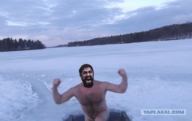 Голый морж