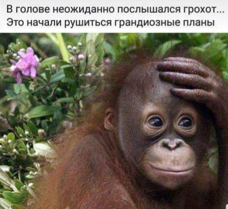 Поднакопилось чутка картинок и надписей