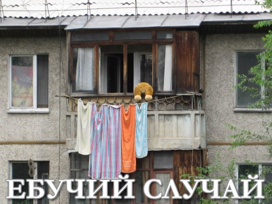 Конкурс: подпись к картинке