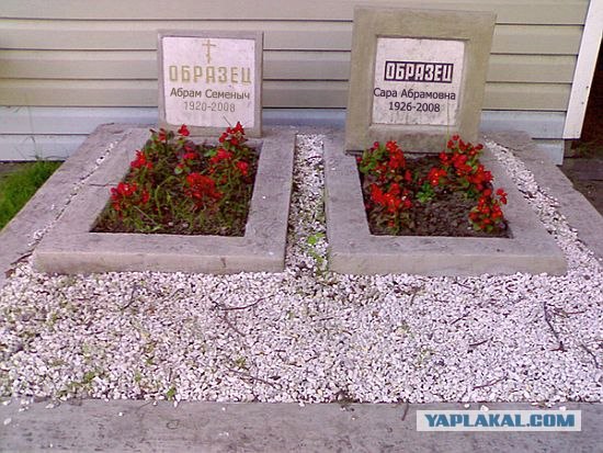 Образец продукции