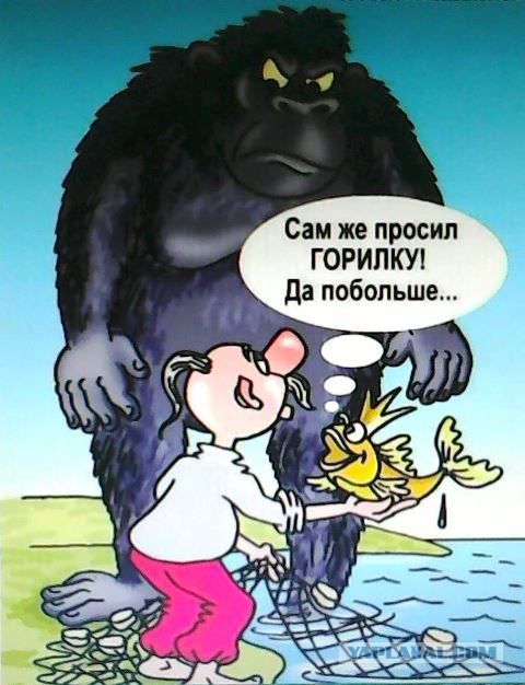 Юмор и прикольные картинки