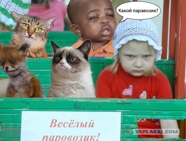 Таксидермия + наркомания
