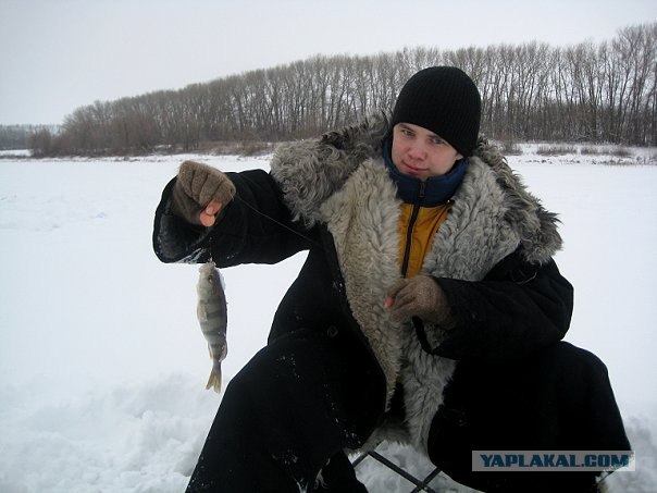 Давай скорее мою долю!