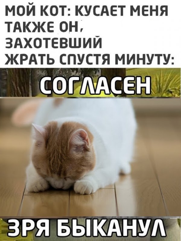 Картинки и мемы для настроения 023