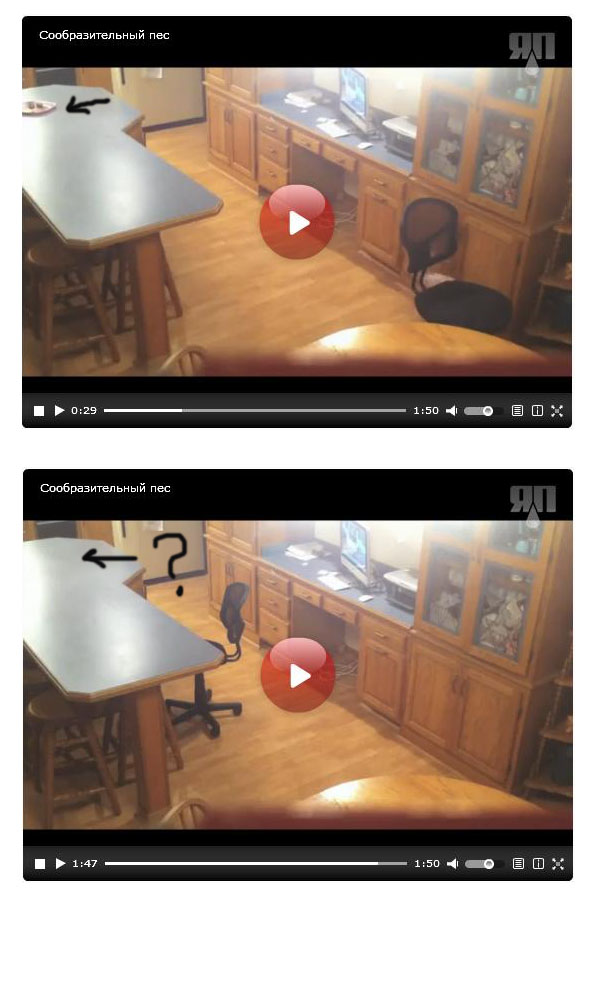 Тихо спи...л и ушёл - называется нашёл #2