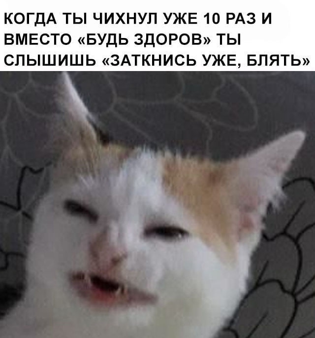 Картинки и мемы для настроения 27.04.2021