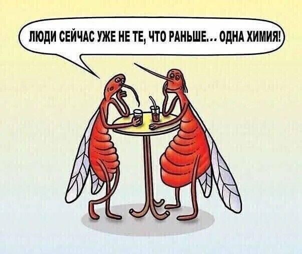 Весёлый полтишок 1.06.