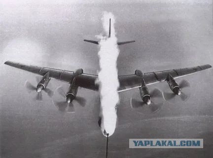 Как кормят "утят"