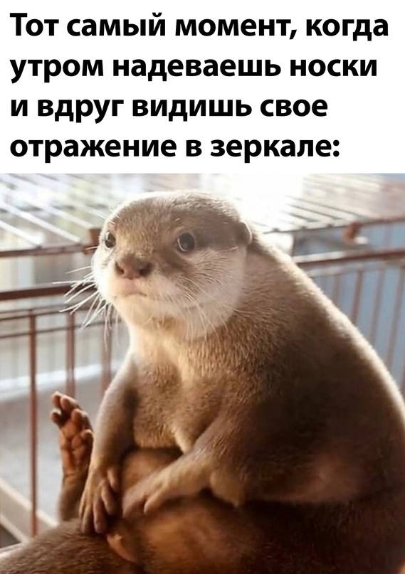 Картинки и мемы для настроения 27.09.2021