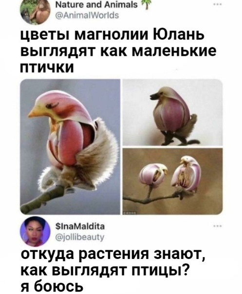 Картинки и мемы для настроения 12.10.2021