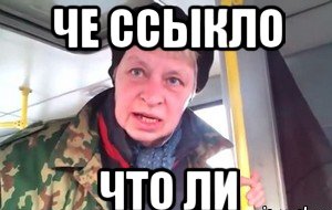 Вячеслав Володин и лидеры-депутаты Госдумы не голосовали за признание ДНР и ЛНР независимыми/