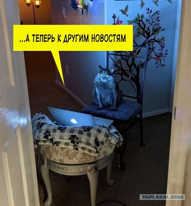 Новый микрокомпьютер. Директор предприятия рассказывает о проблемах производства в стране