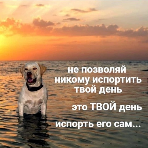 Картинки и мемы - "Жить, как говорится, хорошо..."