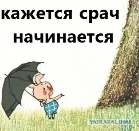 Пандемия съехавших крыш - разновидности болезни. Россия и мир. Часть 42.