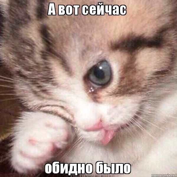 ⚡️«‎Польшу можно поставить на колени за час и для этого не надо тратить наши войска»