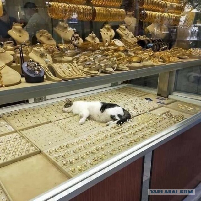 Необычные картинки
