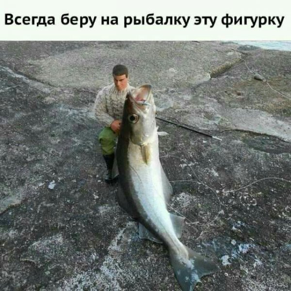 Улов!