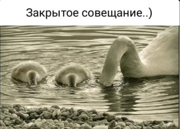 Картинки разные, на пятницу
